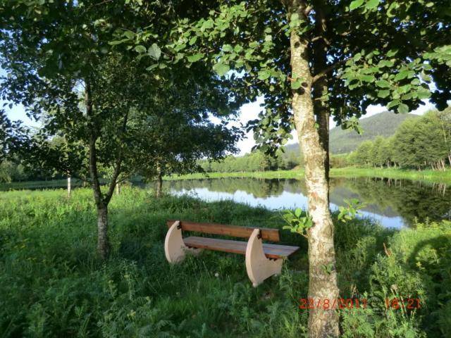 Les Gites De L Etang :Studio A 20 Mn De Gerardmer La Chapelle  Luaran gambar