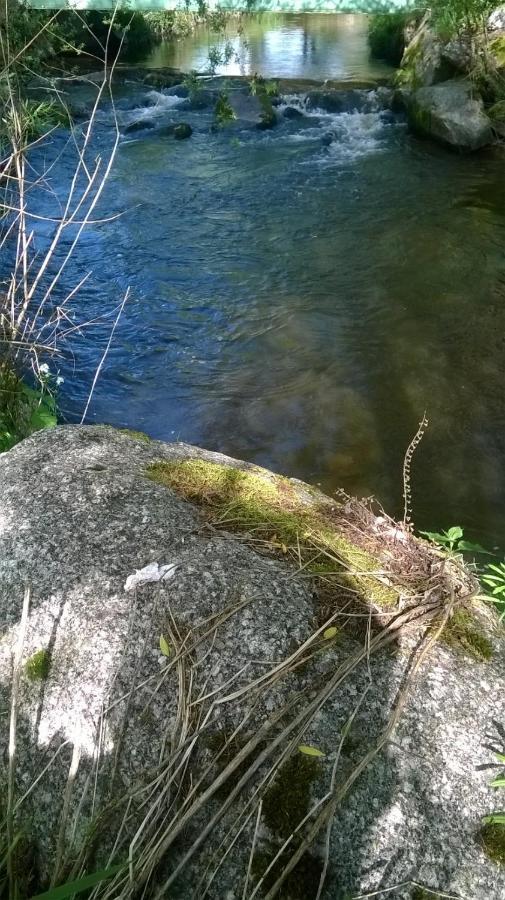 Les Gites De L Etang :Studio A 20 Mn De Gerardmer La Chapelle  Luaran gambar